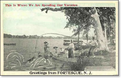 Fortescue_card